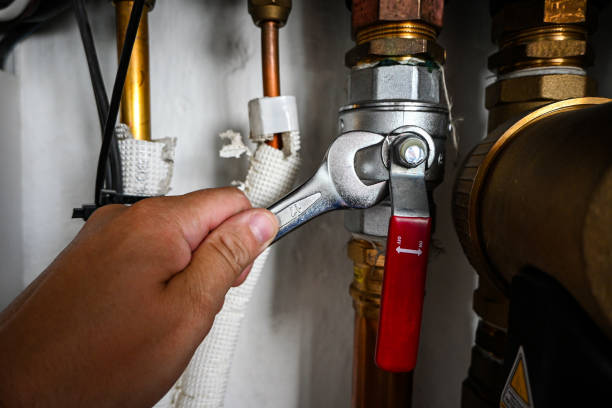 Best Best Plumbers Near Me  in Polk City, IA
